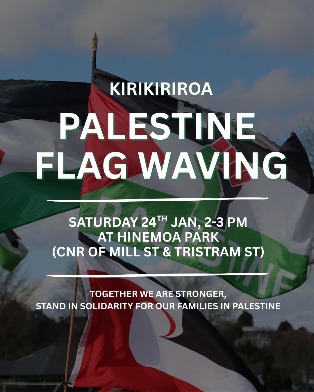 PALESTINE FLAG WAVING PALESTINE FLAG WAVING